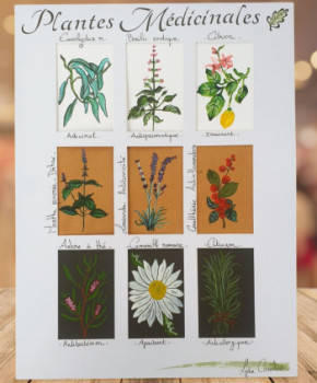 Zeitgenössisches Werk mit dem Titel « Plantes médicinales Ill.1 », Erstellt von LYDIE COURBIER