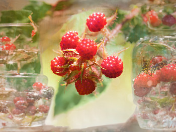 Zeitgenössisches Werk mit dem Titel « Himbeeren », Erstellt von KARL-DIE BILDERMACHERIN