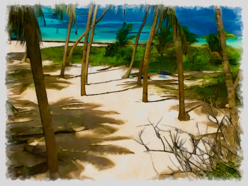 anse michel Martinique Auf der ARTactif-Website