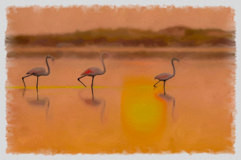 flamands roses Auf der ARTactif-Website