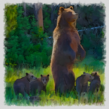 Yellowstone la famille grizzly Auf der ARTactif-Website