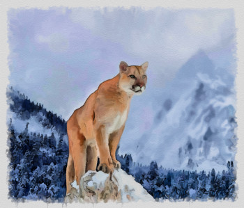 puma a Yellowstone Auf der ARTactif-Website