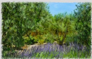 lavande en Provence Auf der ARTactif-Website