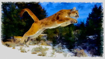 puma Auf der ARTactif-Website