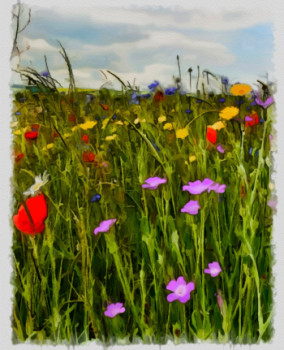 Zeitgenössisches Werk mit dem Titel « champs de fleurs », Erstellt von DOMINIQUE DULOT DIGITAL