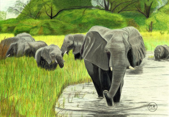 Zeitgenössisches Werk mit dem Titel « Eléphants en balade », Erstellt von PIRDESSINS