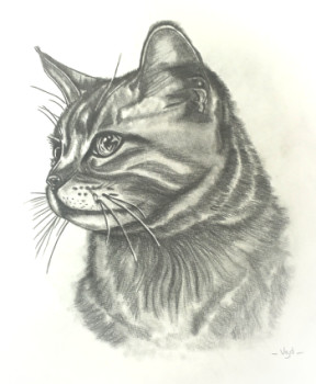 Zeitgenössisches Werk mit dem Titel « Portrait animalier », Erstellt von VGD