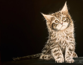 Zeitgenössisches Werk mit dem Titel « Bébé main coon », Erstellt von ANGEL’ART