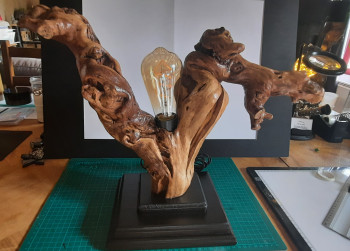 Zeitgenössisches Werk mit dem Titel « lampe CORNU », Erstellt von CRéATING RéNOV'