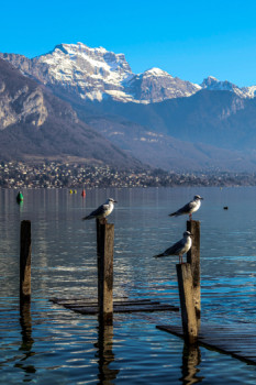 Zeitgenössisches Werk mit dem Titel « Vue du lac », Erstellt von CRéACLIC