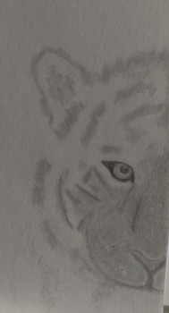 Zeitgenössisches Werk mit dem Titel « Tigre », Erstellt von ADS