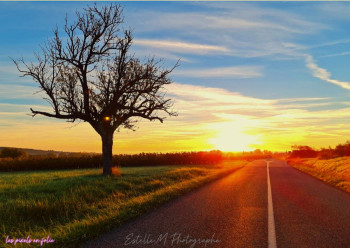 Zeitgenössisches Werk mit dem Titel « Sur la route des vins », Erstellt von ESTEL.M PHOTOGRAPHY