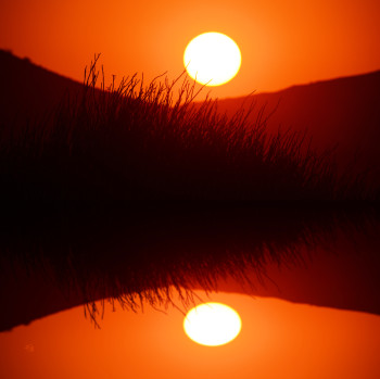 Zeitgenössisches Werk mit dem Titel « Soleil Pubien », Erstellt von FRANKLIN