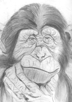 Zeitgenössisches Werk mit dem Titel « Chimpanzé », Erstellt von AURORA