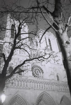 Zeitgenössisches Werk mit dem Titel « Façade parvis Notre-Dame (avec arbres) », Erstellt von SARCIE