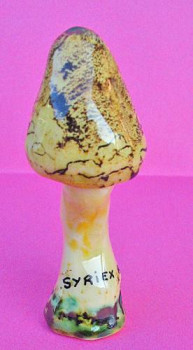 Champignon Hygrophorus blond Auf der ARTactif-Website