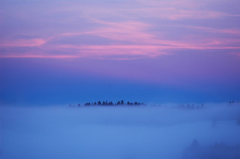 Zeitgenössisches Werk mit dem Titel « Matin rose et bleu », Erstellt von JEAN-BERNARD VUILLE