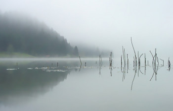 Zeitgenössisches Werk mit dem Titel « Novembre aux Taillères », Erstellt von JEAN-BERNARD VUILLE