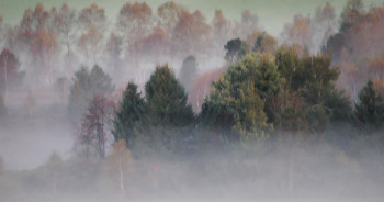 Zeitgenössisches Werk mit dem Titel « Automne aux marais », Erstellt von JEAN-BERNARD VUILLE