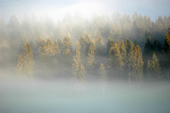 Zeitgenössisches Werk mit dem Titel « Dernière brume », Erstellt von JEAN-BERNARD VUILLE