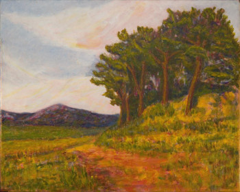 Zeitgenössisches Werk mit dem Titel « Provence copse », Erstellt von PETER HOBDEN