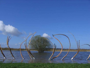 Zeitgenössisches Werk mit dem Titel « Pousses », Erstellt von MICHEL LECLERCQ