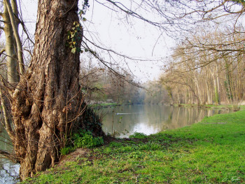 Zeitgenössisches Werk mit dem Titel « Bord de l'Yerres », Erstellt von GRéGORY FOULON