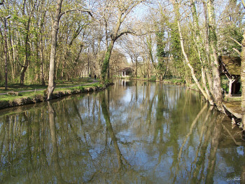 Zeitgenössisches Werk mit dem Titel « Reflet d'Yerres 2 », Erstellt von GRéGORY FOULON