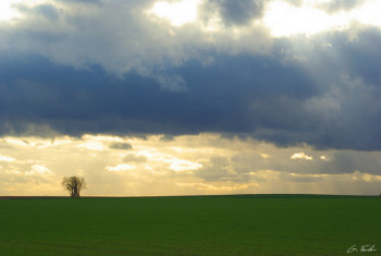 Zeitgenössisches Werk mit dem Titel « Paysage champêtre 5 », Erstellt von GRéGORY FOULON