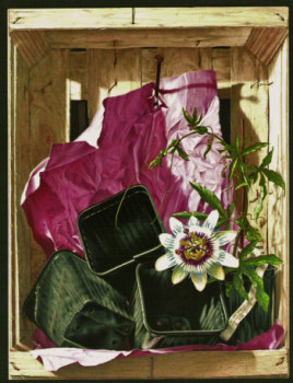 Zeitgenössisches Werk mit dem Titel « la passion du trompe l'oeil », Erstellt von GéPé