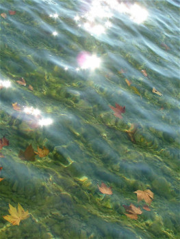 Zeitgenössisches Werk mit dem Titel « feuilles flottantes », Erstellt von PHILIPPE CHAISNé