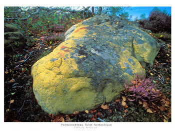 Zeitgenössisches Werk mit dem Titel « Roche precieuse », Erstellt von FABRICE MILOCHAU