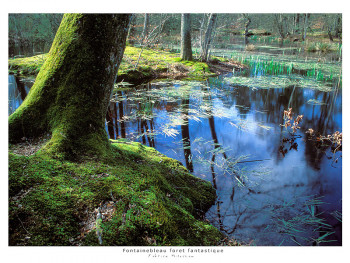 Zeitgenössisches Werk mit dem Titel « eau zen », Erstellt von FABRICE MILOCHAU