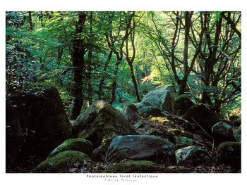 Zeitgenössisches Werk mit dem Titel « vallée perdue », Erstellt von FABRICE MILOCHAU