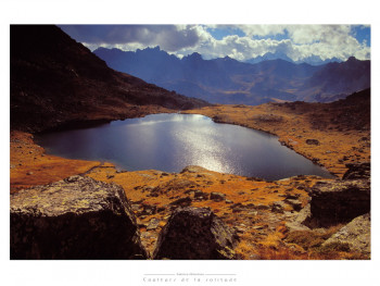 Zeitgenössisches Werk mit dem Titel « lac du serpent », Erstellt von FABRICE MILOCHAU