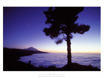 Zeitgenössisches Werk mit dem Titel « tenerife », Erstellt von FABRICE MILOCHAU