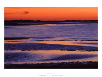 Zeitgenössisches Werk mit dem Titel « camargue », Erstellt von FABRICE MILOCHAU