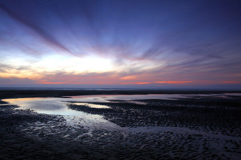 Zeitgenössisches Werk mit dem Titel « fort mahon », Erstellt von FABRICE MILOCHAU