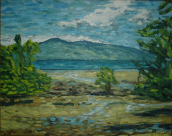 Zeitgenössisches Werk mit dem Titel « La mangrove, Madagascar », Erstellt von ALFREDO