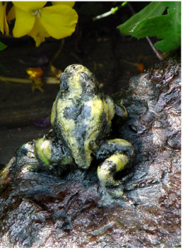 Zeitgenössisches Werk mit dem Titel « Grenouille jaune », Erstellt von JOANNA HAIR