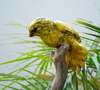 Zeitgenössisches Werk mit dem Titel « Serin », Erstellt von JOANNA HAIR