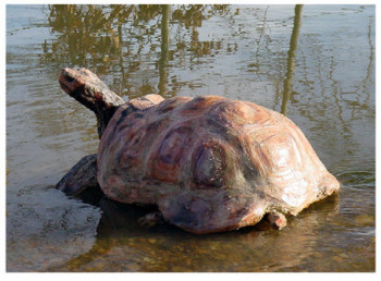 Zeitgenössisches Werk mit dem Titel « Tortue 2 », Erstellt von JOANNA HAIR