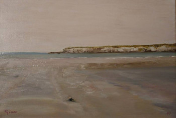 Zeitgenössisches Werk mit dem Titel « Plage à marée basse », Erstellt von GéRARD DUCHENE