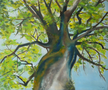 Arbre - vue du bas Auf der ARTactif-Website