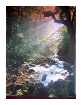 Zeitgenössisches Werk mit dem Titel « Mystère en forêt de Brocéliande », Erstellt von GENEVIEVE S.