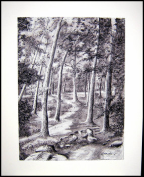 Zeitgenössisches Werk mit dem Titel « Forêt de Fontainebleau », Erstellt von GENEVIEVE S.