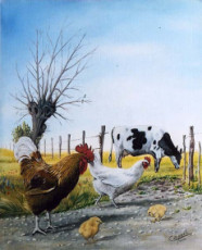 poule-et-coq