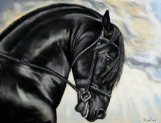 cheval-frison