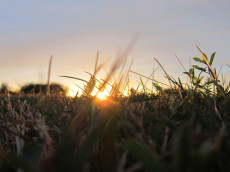 coucher-de-soleil-dans-le-jura