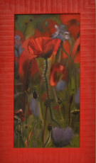 bouquet-de-coquelicots